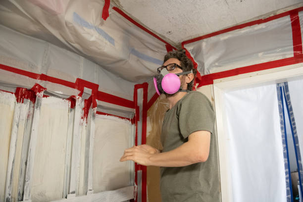 Tavares, FL Mold Inspection, Removal & Remediation Company